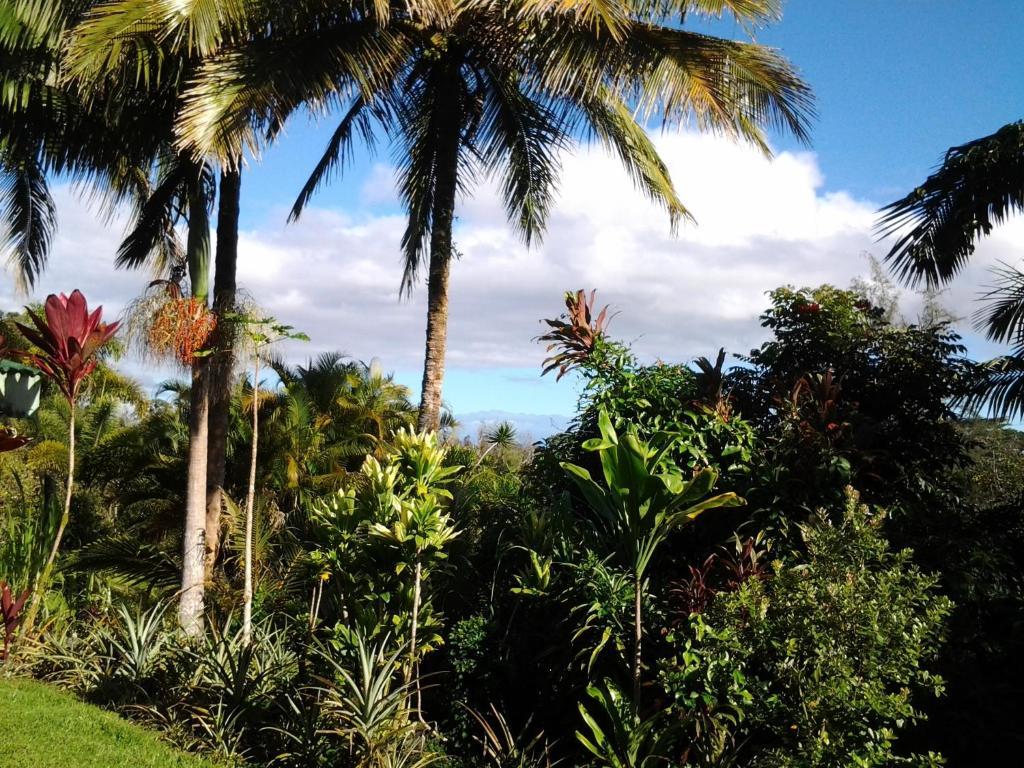 Alojamento de Acomodação e Pequeno-almoço Lava Tree Tropic 4*